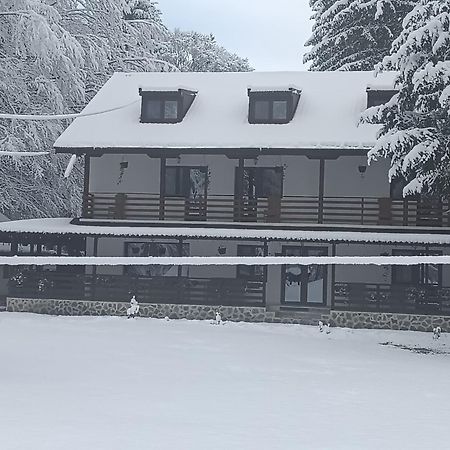Pensiunea Vinatur Porumbacu de Sus Eksteriør bilde