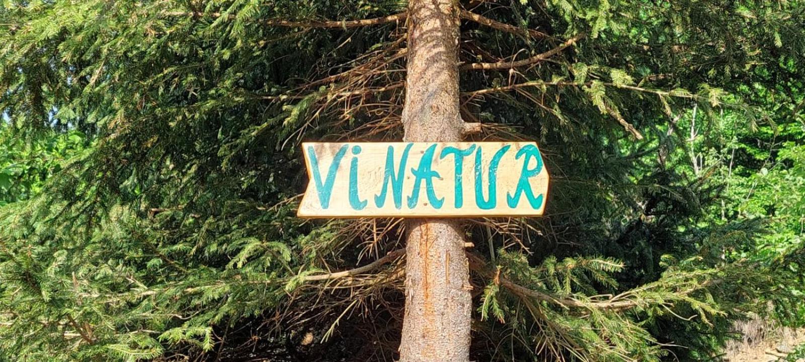 Pensiunea Vinatur Porumbacu de Sus Eksteriør bilde